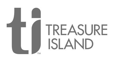 TI Grey Logo